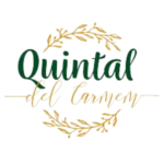 Design sem nome (15)